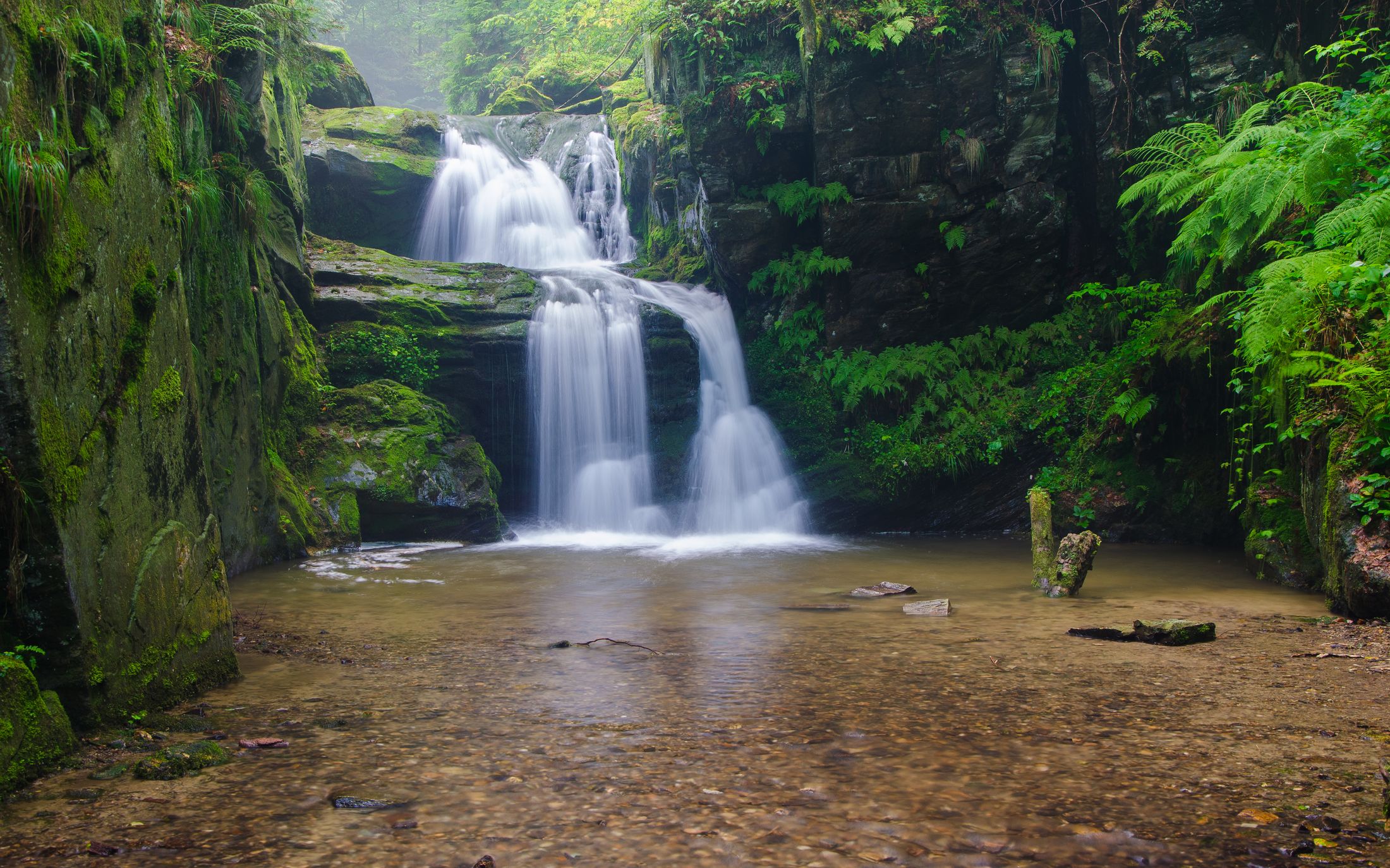 Sudety Grand Trail - widok górski